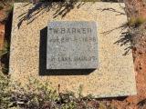 image of grave number 453153
